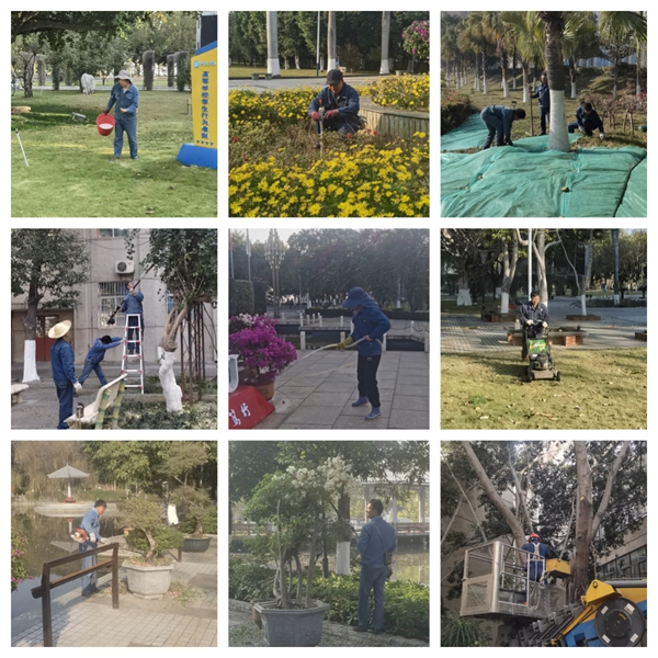 1740128462616994.jpg 微信图片_20250213100436_副本.jpg