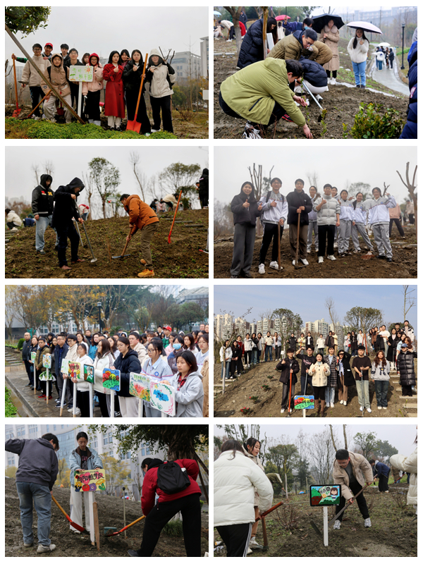 1741943269356928.jpg 光影魔术手拼图1.jpg