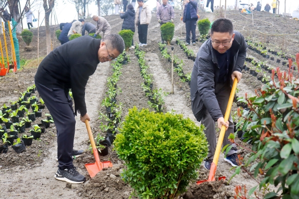 1741943318223285.jpg 校领导植树.jpg