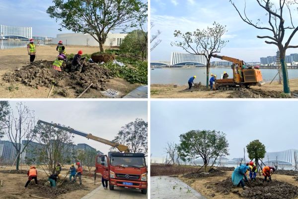 1742263815357072.jpg 图3.jpg