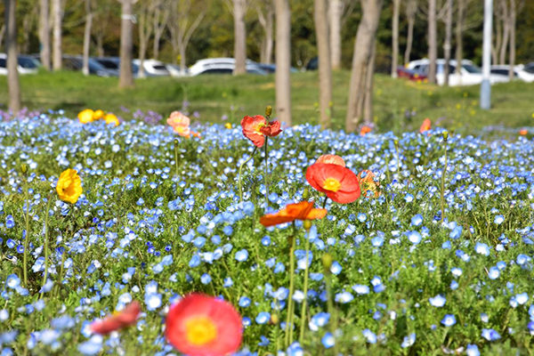 1745218441542782.png 图片2.png