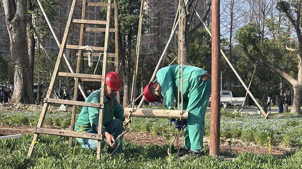 1745218450222452.png 图片4.png