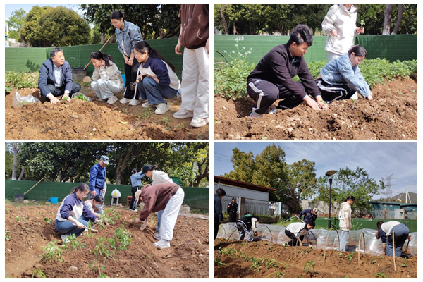 1745719446772870.jpg NeoImage_副本.jpg