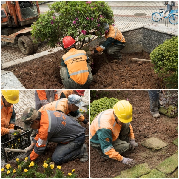 1745994413916803.jpg 绿化_副本.jpg