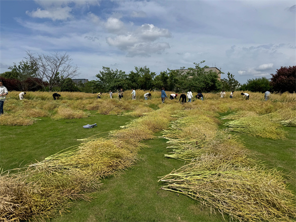 1747035378292384.jpg 6.jpg