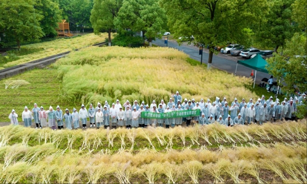 1748326948104225.jpg 1.jpg