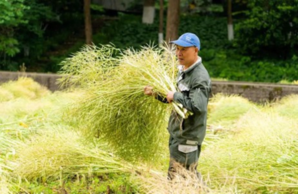 1748327051659723.jpg 13.jpg