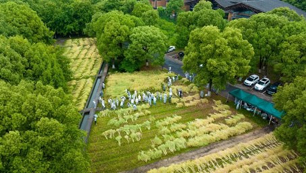 1748327051689907.jpg 15.jpg