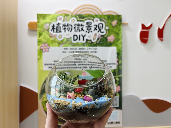 1749459502424650.jpg 图2.jpg