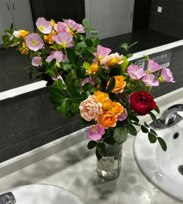 1750905626578696.png 图片1.png