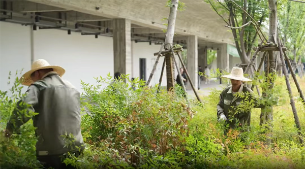 1750905664618554.png 图片6.png