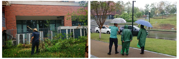 1750922389952712.jpg 光影魔术手拼图6.jpg