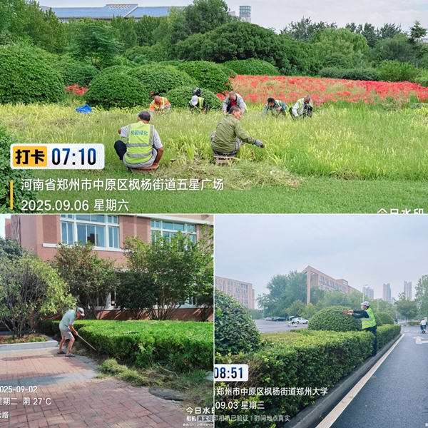 1757474445992143.jpg image003.jpg