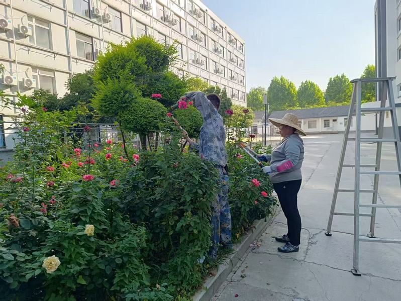 1757923572180513.jpg 江苏科技大学物业中心做好梦溪校区夏季绿化养护工作.jpg