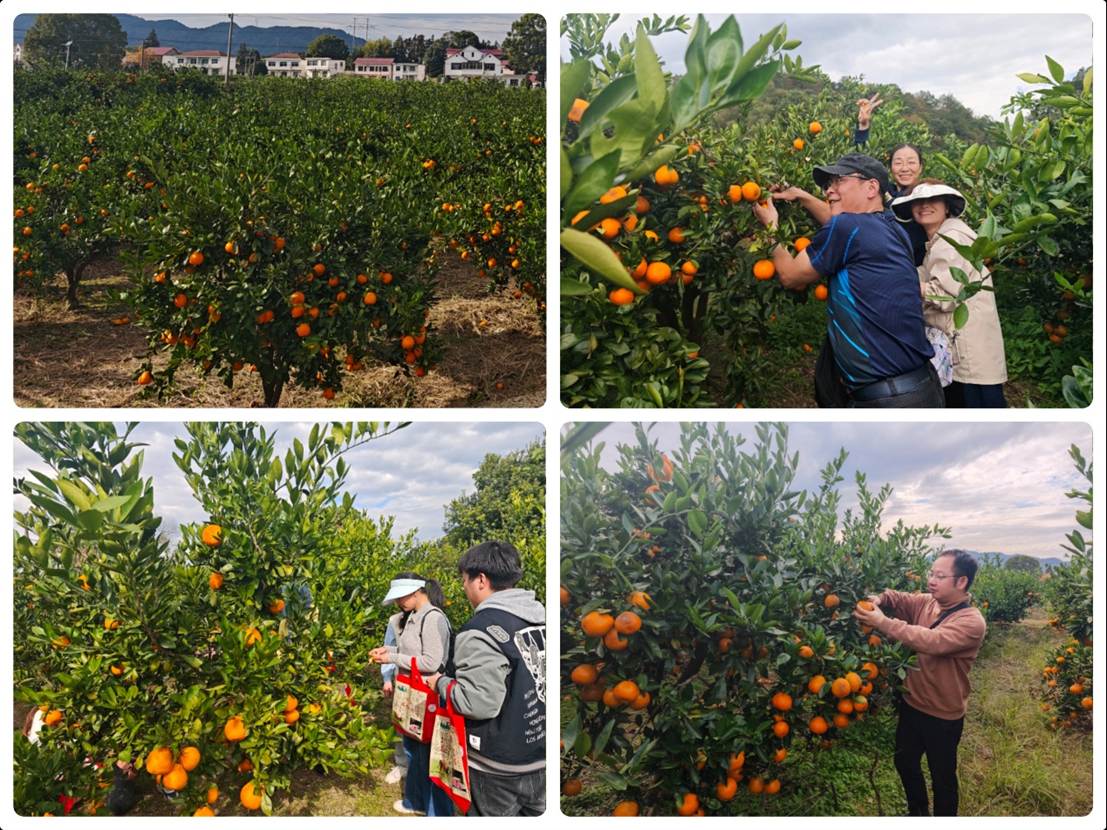 1764142283322941.jpg 1764142283322941.jpg