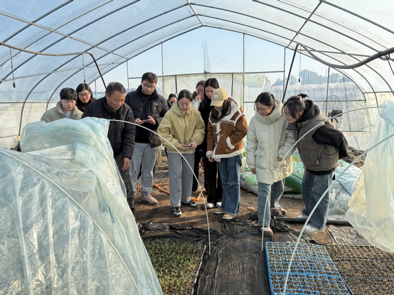 1765181626188168.jpg 江苏科技大学:后勤集团机关第二党支部、粮食学院食品质量与安全系教工党支部、粮食学院学生党支部联合探访蔬菜供应基地3.jpg