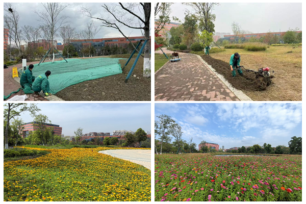 1766480589242000.jpg 光影魔术手拼图2.jpg