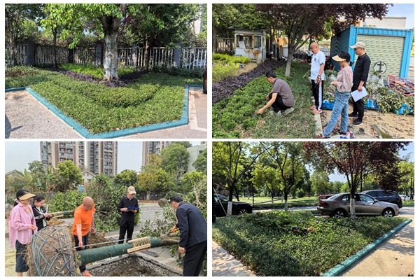 1766480600178605.jpg 光影魔术手拼图3.jpg