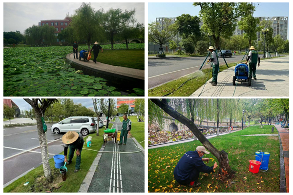 1766480632577273.jpg 光影魔术手拼图5.jpg