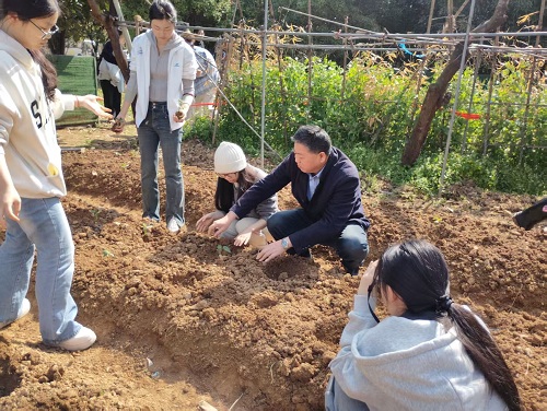 1775013114660663.jpg 1.jpg