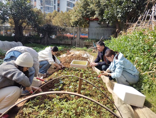 1775013122887292.jpg 2.jpg