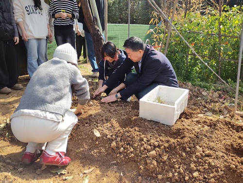 1775013146500203.jpg 3.jpg