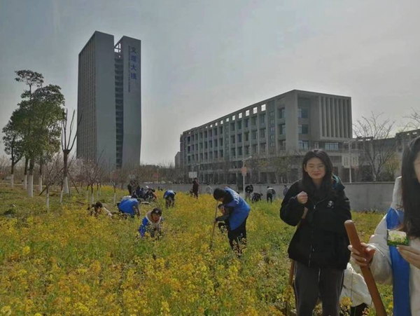 江苏科技大学：在那油菜花盛开的地方.jpg