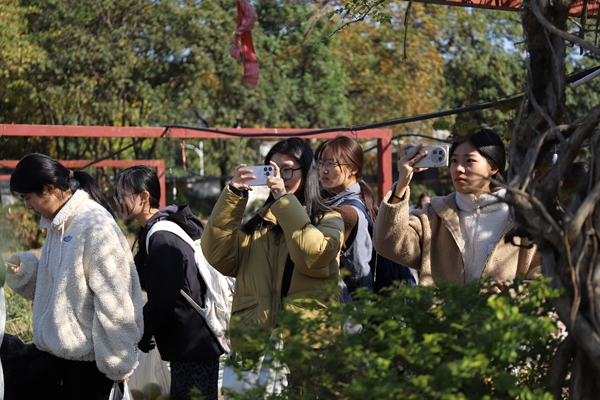 1765175276180521.jpg 2.jpg