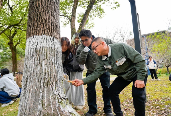 1767667470703600.jpg 图2.jpg