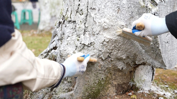 1767667481622395.jpg 图4.jpg