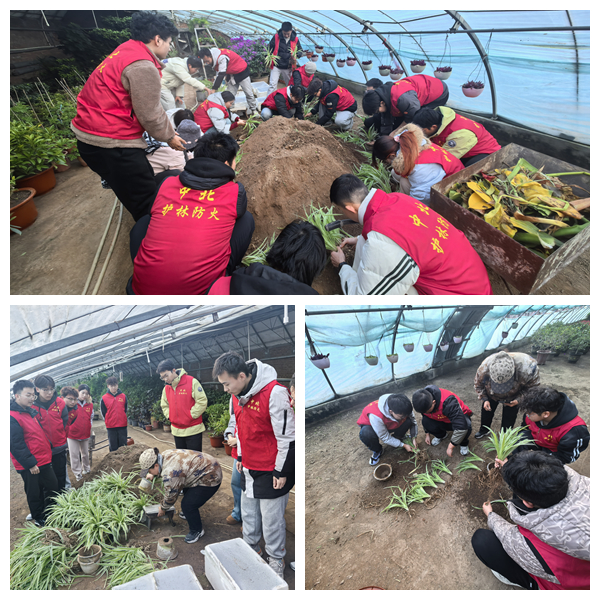 1767927186626307.jpg 光影魔术手拼图.jpg