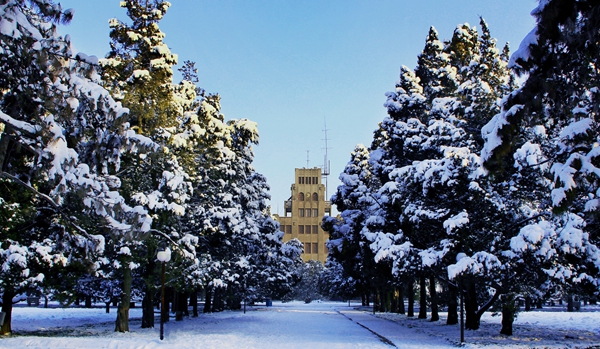 1768207866280556.jpg 北校区传承古典园林意境.jpg