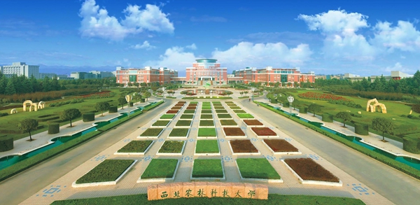 1768207870233750.jpg 南校区彰显关中田园风貌.jpg