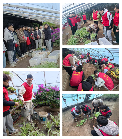 1768378252584091.jpg 光影魔术手拼图.jpg