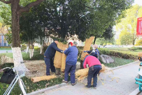 1772438460769373.jpg 20.jpg