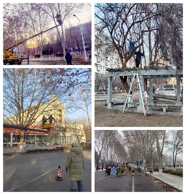 1772442649224644.jpg 01.jpg