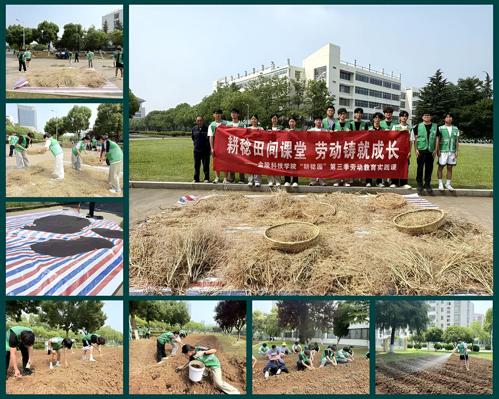 1782196600567109.jpg 材料学院(25功能材料)外宣.jpg