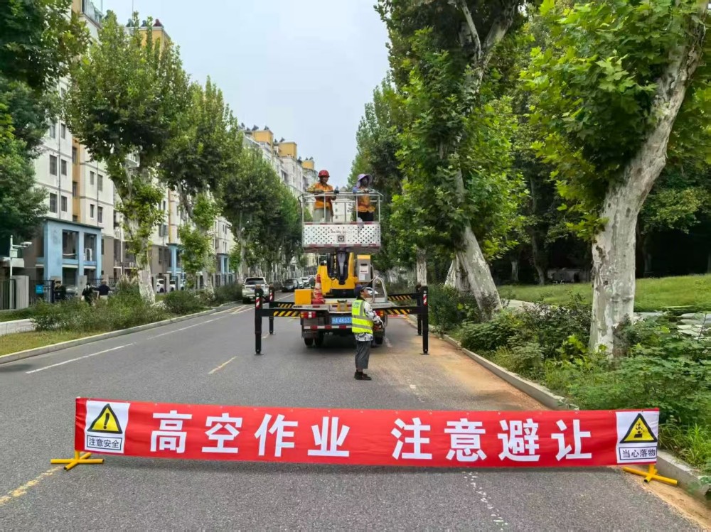 1785831227968274.jpg 图4 高空修枝(环维中心供图).jpg